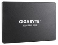 GIGABYTE Internal Solid State Drive  (GP-GSTFS31240GNTD)