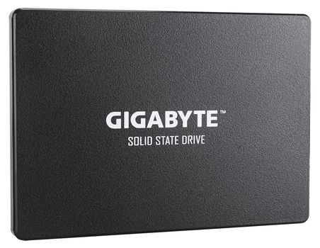 GIGABYTE Internal Solid State Drive  (GP-GSTFS31256GTND)