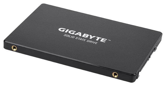 GIGABYTE Internal Solid State Drive (GP-GSTFS31256GTND)