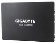 GIGABYTE Internal Solid State Drive  (GP-GSTFS31240GNTD)