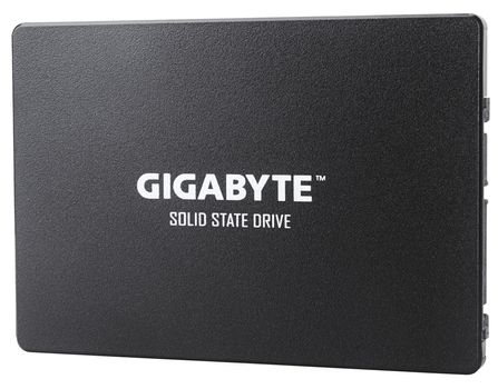 GIGABYTE Internal Solid State Drive  (GP-GSTFS31256GTND)