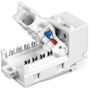 TRENDNET Cat6 Keystone Jack (TC-K50C6)
