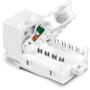 TRENDNET Cat6 Keystone Jack (TC-K50C6)
