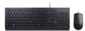 LENOVO Keyboard Mouse Included Usb (4X30L79909)