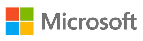 MICROSOFT MS OPEN-GOV WindowsRightsMgtServicesCAL 2019 Government OLP 1License NoLevel UsrCAL (T98-02919)
