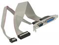 DELOCK Slotblech - Parallel 1 x Port + Seriell 1 x Port ca. 30 cm Belegung 1 1