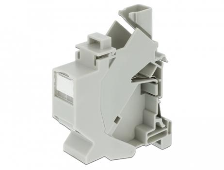 DELOCK Keystone Mounting for DIN rail dust cover Hus med modulær indsats Hvid (86292)