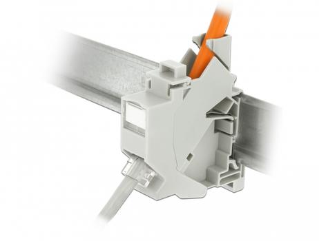 DELOCK Keystone Mounting for DIN rail dust cover Hus med modulær indsats Hvid (86292)