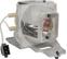 MICROLAMP Projector Lamp for Optoma