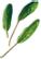 PLANTUI Plant Capsule Bloody Sorrel