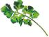 PLANTUI Plant Capsule Garden Cress