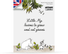 PLANTUI Plant Capsule Moomin