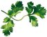 PLANTUI Plant Capsule Coriander
