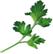 PLANTUI Plant Capsule Flatleaf Parsley
