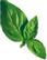PLANTUI Plant Capsule Basil Lemon