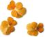 PLANTUI Plant Capsule Viola Orange