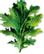 PLANTUI Plant Capsule Mustard Wasabina