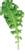 PLANTUI Plant Capsule Kale CurledGreen