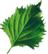 PLANTUI Plant Capsule Shiso