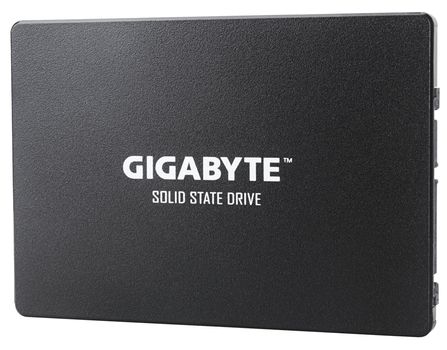 GIGABYTE Internal Solid State Drive (GP-GSTFS31480GNTD)