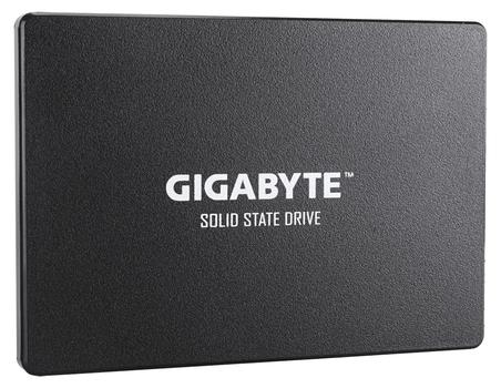 GIGABYTE Internal Solid State Drive (GP-GSTFS31480GNTD)