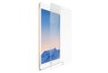 COMPULOCKS DOUBLEGLASS SCREEN SHIELD NEW IPAD PRO 12.9 ACCS (DGSIPDP129)