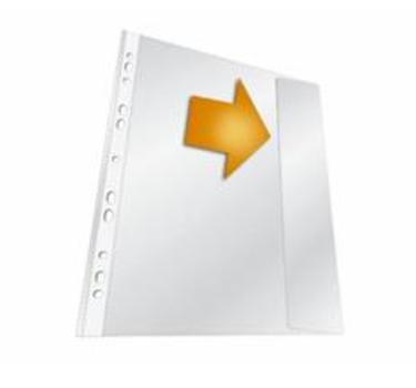 DURABLE Sheet Protector 210 X 297 Mm (266419)