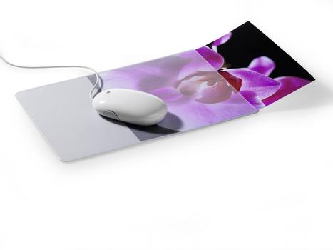 DURABLE Mouse Pad Plus mit Fotoeinschub grau/ transp (574719)