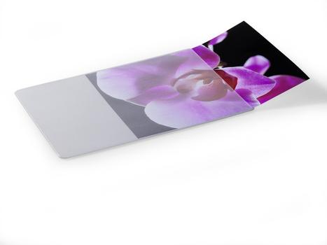 DURABLE Mouse Pad Plus mit Fotoeinschub grau/ transp (574719)