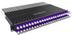 PATCHBOX Plus 365 STP Violet Factory Sealed