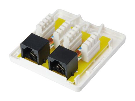 EQUIP 2-Port Cat.6 Surface Mount Box (235214)
