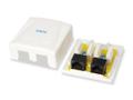 EQUIP 2-Port Cat.6 Surface Mount Box (235214)
