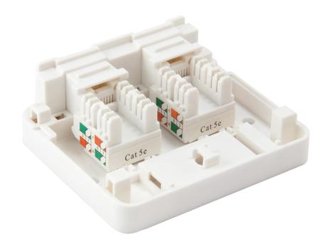 EQUIP 2-Port Keystone Jack Surface (125124)
