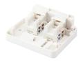 EQUIP 2-Port Keystone Jack Surface (125124)