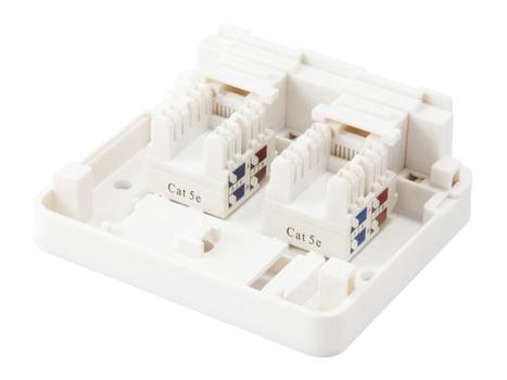 EQUIP 2-Port Keystone Jack Surface (125124)