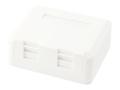 EQUIP 2-Port Keystone Jack Surface (125124)
