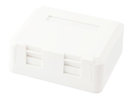 EQUIP 2-Port Keystone Jack Surface (125124)