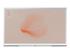 SAMSUNG QE49LS01RAUXXC 49inch Serif 2.0