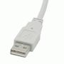 C2G USB-kabel - USB (hane) till USB typ B (hane) - USB 2.0 - 1 m - vit (81560)