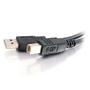 C2G 6.6ft USB A to USB B Cable - USB A to B Cable - USB 2.0 - Black - M/M - USB-kabel - USB (hane) till USB typ B (hane) - USB 2.0 - 2 m - svart (81566)