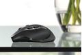 LOGITECH Cordless Performance Mouse MX, Darkfield Laser Tracking (910-001116)