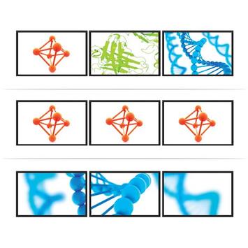 StarTech 3 Port DisplayPort MST Hub - 4K 30Hz - DisplayPort to DisplayPort Multi Monitor Splitter for 3 DP Monitor Setup (MSTDP123DP) - Videosplitter - stasjonær - AC 100/230 V (MSTDP123DP)