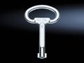 RITTAL Double Bit Key Number 5 for use with lock inserts chrome