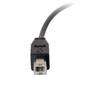 C2G 2m USB 2.0 USB Type C to USB B Cable M/M - USB C Cable Black - USB-kabel - USB typ B (hane) till 24 pin USB-C (hane) - USB 2.0 - 2 m - svart (88859)
