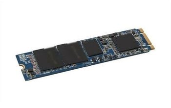 DELL M.2 PCIE NVME CLASS 40 2280 SSD 1    (AA615520)