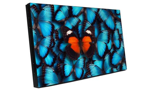 BARCO LVD5521B LCD500nD1.2 PS (R98490018FG)