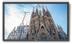 Sharp / NEC MultiSync V323-3 32" V-Series LFD, 450cd/m², Edge LED backlight, 24/7 proof, OPS slot