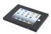 NEWSTAR iPad2 & New iPad mount