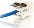 C2G Kabel / Cat6 TOOLESS Keystone Jack Wht (84042)