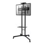 NEWSTAR Mobile Flatscreen Floor Stand height: 155-170 cm 32-55inch Black